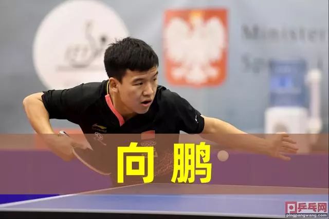 海兰德：泰伦卢在开玩笑，他是一个很棒教练&好人